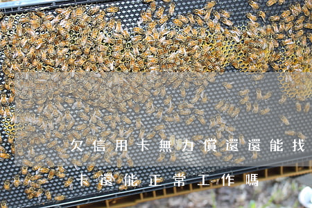 欠信用卡無力償還還能找到工作嗎-欠信用卡還能正常工作嗎