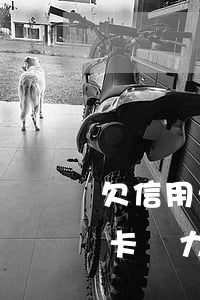 欠信用卡無力償還銀行不給辦分期-欠信用卡無力償還銀行不給辦分期怎么辦