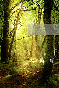 欠信用卡無存款(銀行沒存款信用卡可以用嗎)