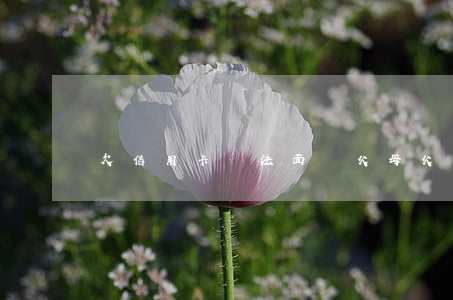 欠信用卡無法面對父母(父母拖欠信用卡)