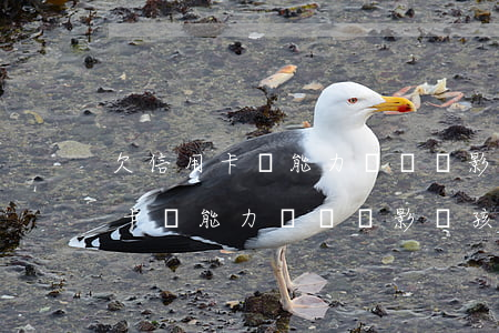 欠信用卡無能力償還會影響孩子嗎-欠信用卡無能力償還會影響孩子嗎知乎