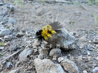 欠信用卡然后去當(dāng)兵(當(dāng)兵的信用卡逾期了會怎么樣?)