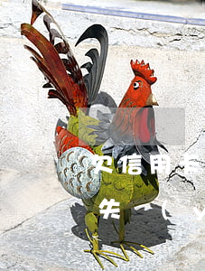 欠信用卡然后失業(yè)了(欠信用卡然后失業(yè)了有影響嗎)