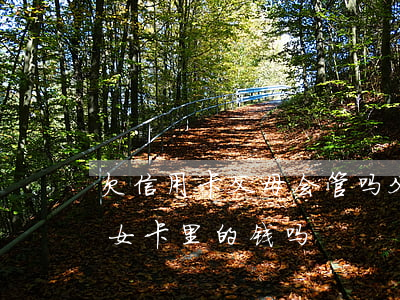 欠信用卡父母会管吗(父母欠信用卡会扣掉子女卡里的钱吗)