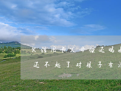 欠信用卡父母偿还吗 如果父母欠信用卡的钱还不起了对孩子有没有影响