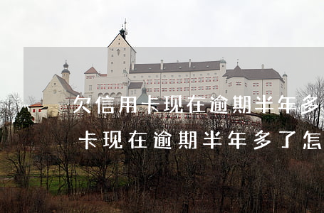 欠信用卡现在逾期半年多了怎么办-欠信用卡现在逾期半年多了怎么办呢