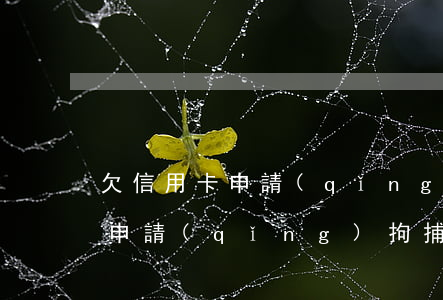 欠信用卡申請(qǐng)拘捕令(欠信用卡申請(qǐng)拘捕令有用嗎)