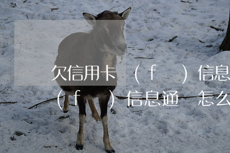 欠信用卡發(fā)信息通緝-欠信用卡發(fā)信息通緝怎么處理