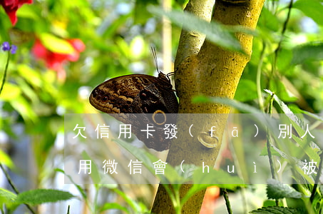 欠信用卡發(fā)別人微信(欠信用卡錢使用微信會(huì)被扣嗎)