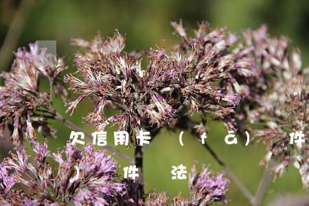 欠信用卡發(fā)郵件 欠信用卡發(fā)郵件違法嗎