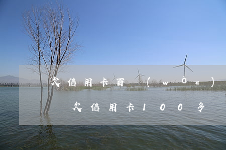 欠信用卡百萬(wàn)會(huì)通緝嗎(欠信用卡100多萬(wàn)坐多少年牢)