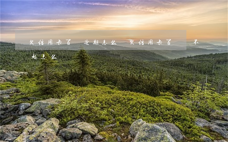欠信用卡百萬逾期怎么辦(欠信用卡百萬還不起怎么辦)