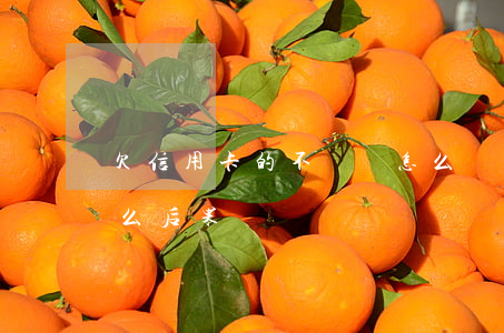 欠信用卡的不還會怎么樣(欠信用卡不還有什么后果)