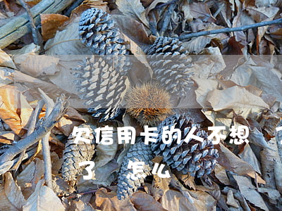 欠信用卡的人不想還了(欠信用卡的人不想還了會怎么樣)
