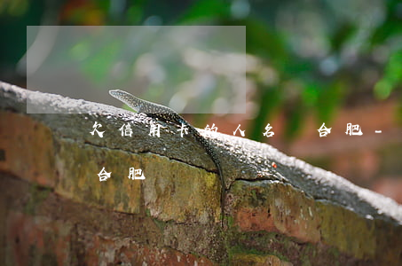欠信用卡的人名單合肥-欠信用卡的人名單合肥
