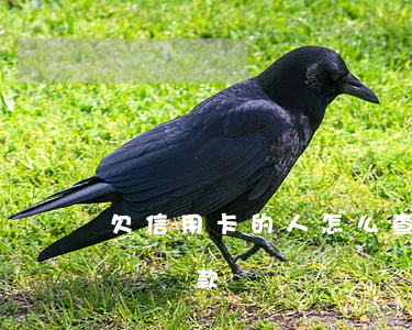 欠信用卡的人怎么查詢(欠信用卡的人怎么查詢還款記錄)