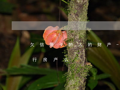 欠信用卡的人的财产-欠信用卡的钱会被执行房产么