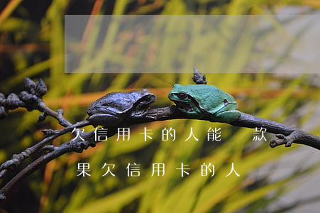 欠信用卡的人能貸款嗎（現(xiàn)在如果欠信用卡的人）