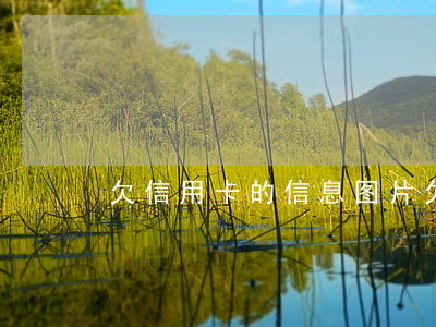 欠信用卡的信息图片(欠信用卡的截图图片)