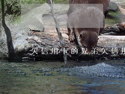欠信用卡的兄弟(欠信用卡的兄弟)