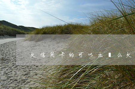 欠信用卡的可以出國么(欠信用卡可以出國嗎)