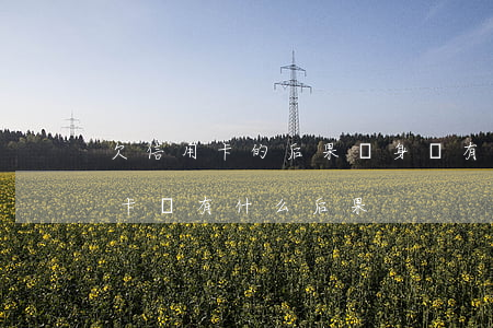 欠信用卡的后果對身體有什么影響-欠信用卡會有什么后果
