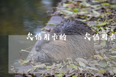 欠信用卡的問題(欠信用卡最嚴重后果)
