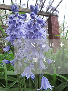 欠信用卡的存款(欠信用卡的錢儲蓄卡會被凍結(jié)嗎)