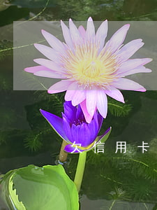 欠信用卡的小三(小三用老公信用卡怎樣起訴)