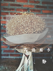 欠信用卡的年輕人，探究欠信用卡的年輕人：原因、影響及解決策略