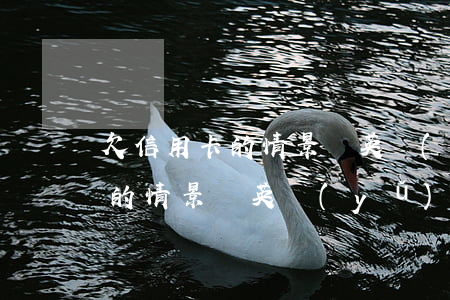 欠信用卡的情景劇英語(yǔ)-欠信用卡的情景劇英語(yǔ)怎么說(shuō)