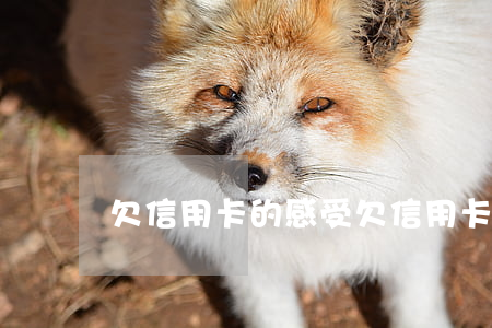 欠信用卡的感受 欠信用卡的心情說說