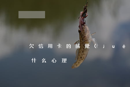 欠信用卡的感覺(jué)-欠信用卡的人什么心理