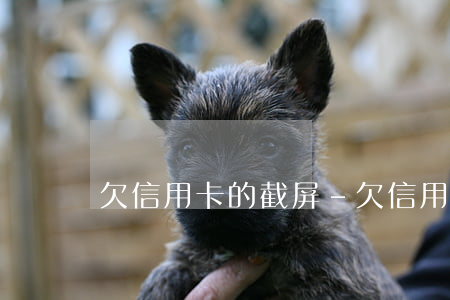 欠信用卡的截屏-欠信用卡的朋友圈說說