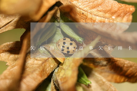 欠信用卡的故事 欠信用卡的故事