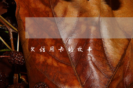欠信用卡的故事視頻