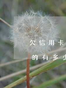 欠信用卡的有多少人还不起失联-欠信用卡的有多少人还不起失联的钱