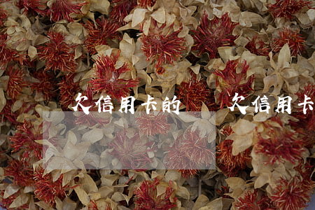 欠信用卡的標準 欠信用卡量刑標準