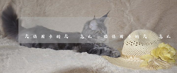 欠信用卡的欠條怎么寫(借信用卡的欠條怎么寫)