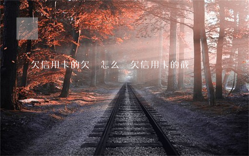 欠信用卡的欠條怎么寫（欠信用卡的截圖）