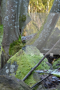 欠信用卡的男生(男的欠信用卡会影响女方没)