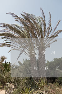 欠信用卡的股东股份 如果是公司股东,欠银行的钱还不起怎么办