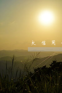 欠信用卡的行為(欠信用卡的行為有哪些)