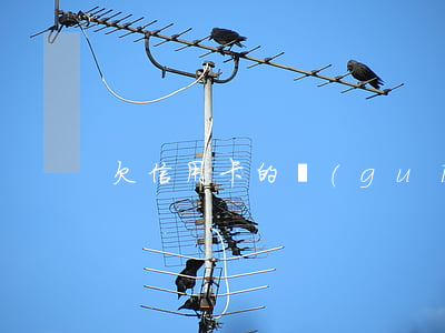 欠信用卡的規(guī)則