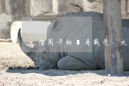 欠信用卡的親身感受-欠信用卡的日子