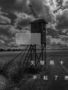 欠信用卡的辦法 欠信用卡實(shí)在還不起了應(yīng)該怎么樣躲避呢