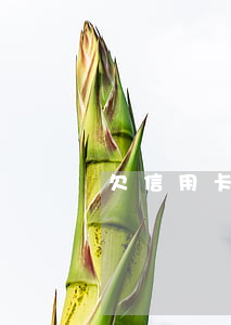 欠信用卡的还能工作吗 欠信用卡影响工作吗