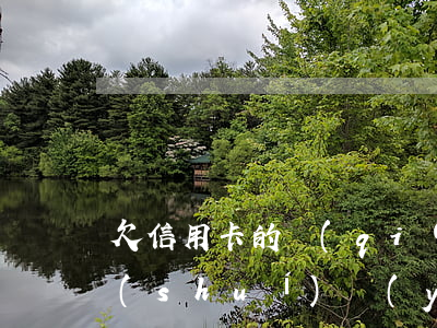 欠信用卡的錢(qián)和欠銀行貸款誰(shuí)嚴(yán)重-欠信用卡的錢(qián)和欠銀行貸款誰(shuí)嚴(yán)重些