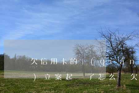 欠信用卡的錢(qián)已經(jīng)立案起訴了怎么辦（欠信用卡立案了可怕嗎）