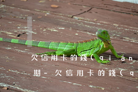 欠信用卡的錢(qián)能不能重新辦分期-欠信用卡的錢(qián)能不能重新辦分期還款